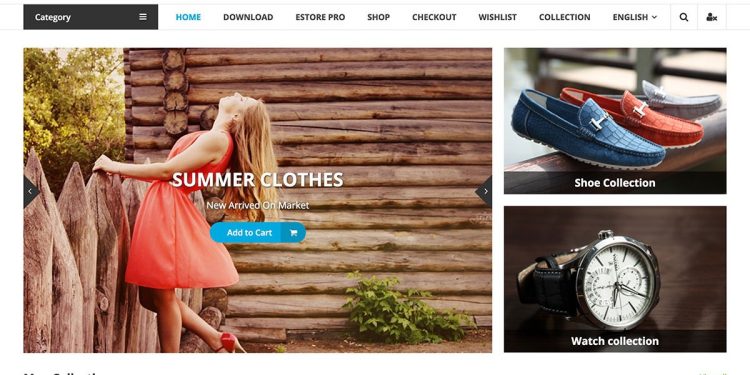 What would be advisable for me to be familiar with WordPress eCommerce themes?