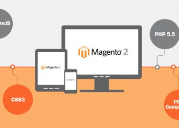 Maximize Your Business Volume and Profits with Magento Solution