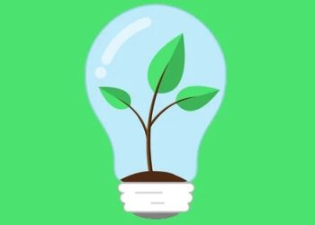 Renewable Energy: Make the Switch and Save the Environment