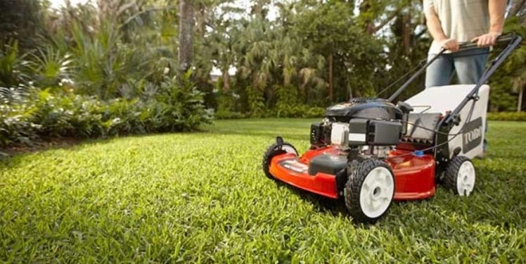 What to consider when choosing a lawn mower