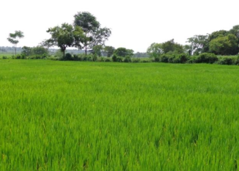 200 acre farm for sale