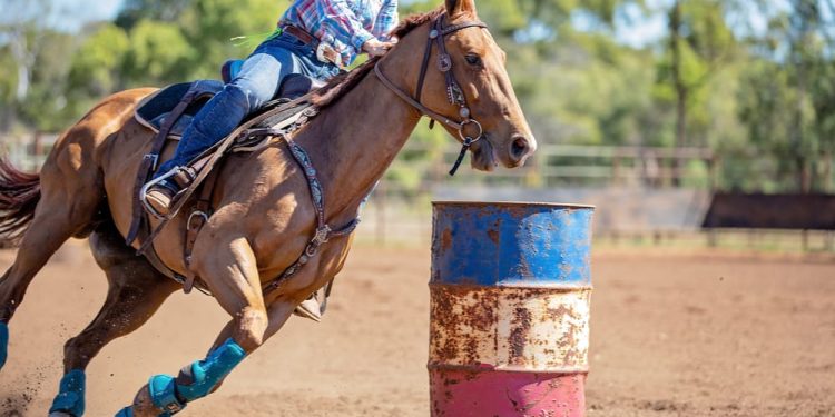 The Best Horse Breeds for Racing