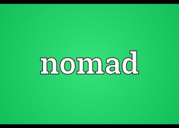 Digital nomads: who are they and how do they work?