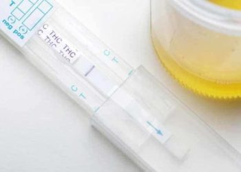 Does HHC Show Up on a Drug Test?