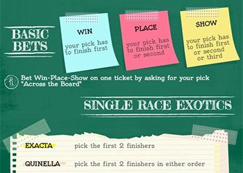 Horse betting rules and instructions