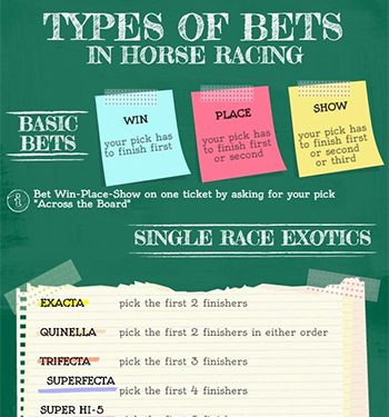 Horse betting rules and instructions