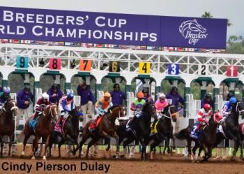 Common Terms Used in Horse Betting-34