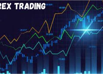 Best Forex Brokers in USA For Pro And New Traders