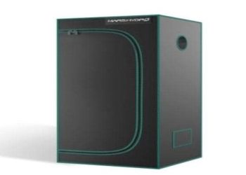 How to Set Up a Grow Tent 