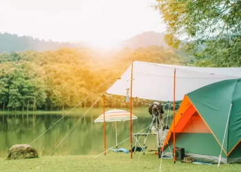 How to Choose the Best Campsite Ground Cover for Your Next Camping Trip?