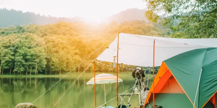 How to Choose the Best Campsite Ground Cover for Your Next Camping Trip?