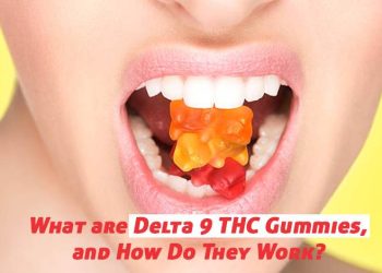 What are Delta 9 THC Gummies, and How Do They Work?