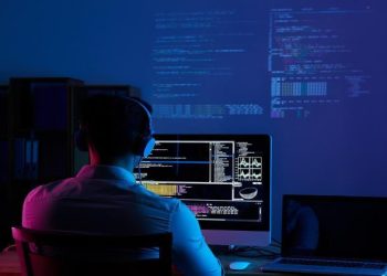 Advantages And Disadvantages Of Developer