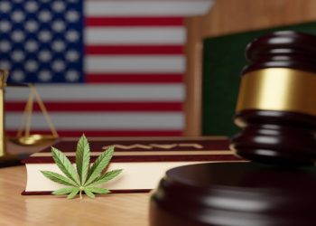 Why should you hire a lawyer for your cannabis business?