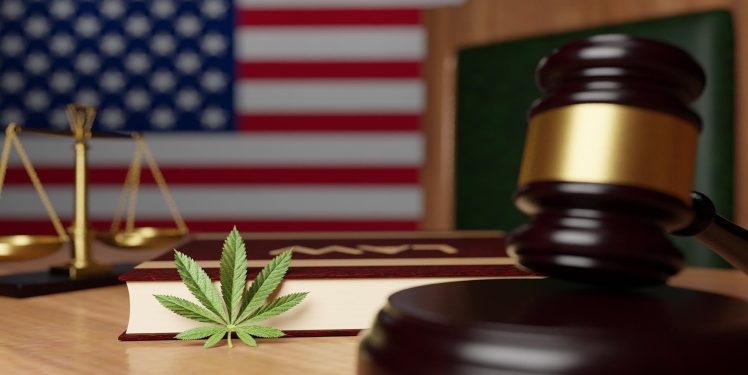 Why should you hire a lawyer for your cannabis business?