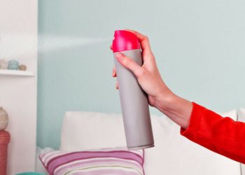 The Homework to Do Before Choosing an Air-Freshener