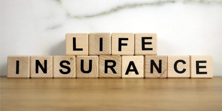 All You Need To Know About Term Insurance Plans