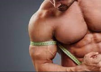 A Detailed Guide To Using Steroids To Get Bigger And Stronger Muscles
