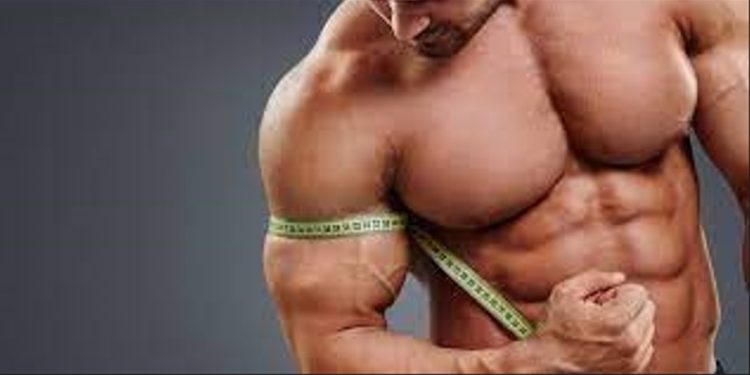 A Detailed Guide To Using Steroids To Get Bigger And Stronger Muscles