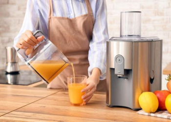 Choosing the Perfect Commercial Juice Extractor Made Easy