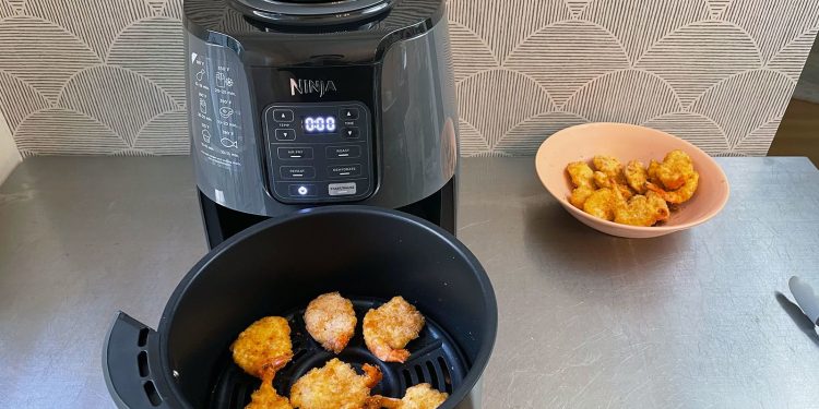 Affordable Air Fryer Price for Crispy Foods