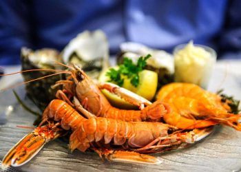 Offering the best seafood from all around the world
