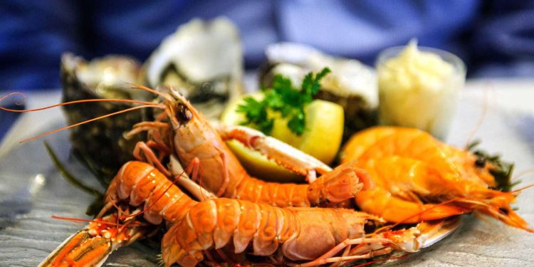 Offering the best seafood from all around the world
