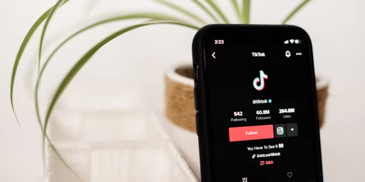 How to see statistics on Tik Tok subscribers