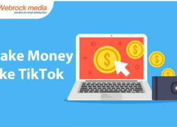 Want To Make Money Like TikTok? Here Is What You Should Do?