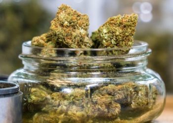 The Ultimate Guide To Sacramento Dispensary: From Quality to Price, Where To Find The Best Weed