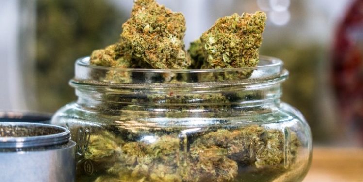 The Ultimate Guide To Sacramento Dispensary: From Quality to Price, Where To Find The Best Weed