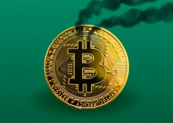 Cryptocurrency and the Environment: Is it Sustainable?