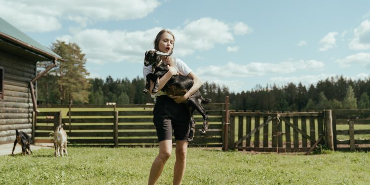 What Everyone Should Know About Homesteading and Preparedness