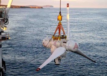 “Exploring the Potential of CWGYF Stock”