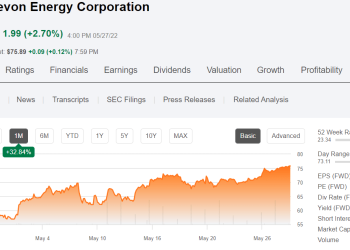 “The Volatile Vihdd Stock Price: An Overview”