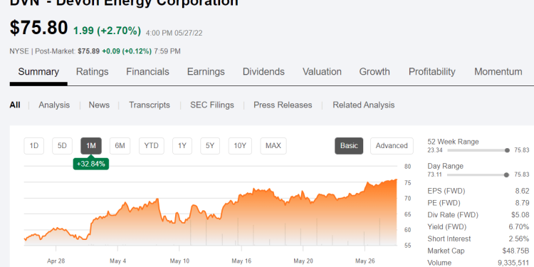 “The Volatile Vihdd Stock Price: An Overview”