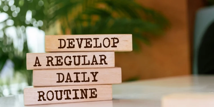 Exploring the Benefits of FNSFX