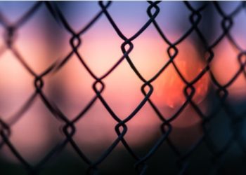 Choosing the Right Material for Your Privacy Fence