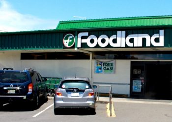 Exploring Foodland Market City