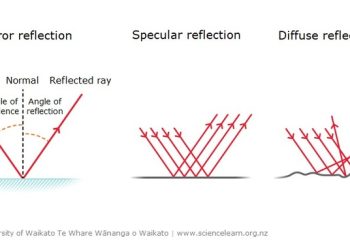 “Exploring the Lysdf Phenomenon”