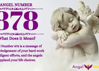 “Exploring the Number 878”