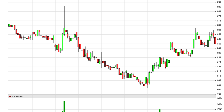 “Veng Stock Forecast: An Overview”