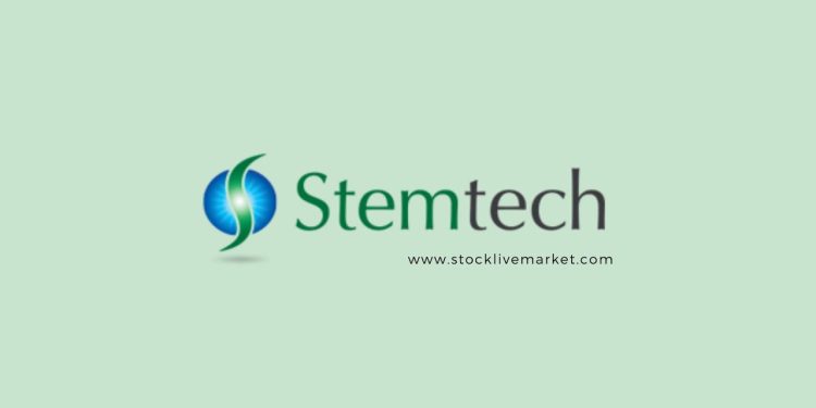 “Exploring Stek Stock: A Comprehensive Overview”