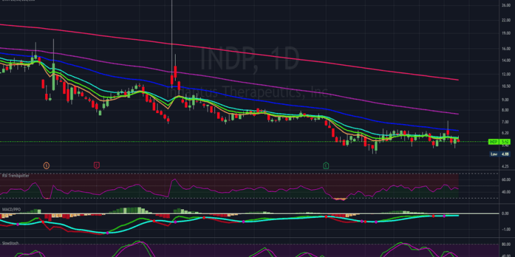 “Indp Stock: An Overview”