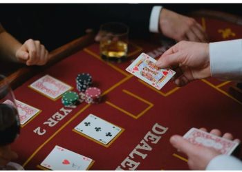 Experience the Thrill of Live Casino Games