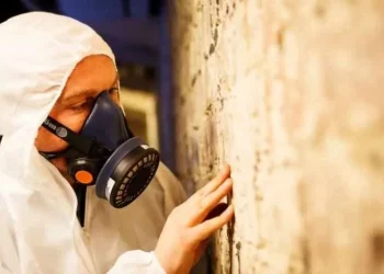 Uncovering Hidden Dangers: The Role of Asbestos Surveys