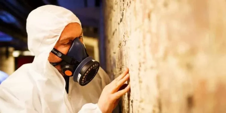 Uncovering Hidden Dangers: The Role of Asbestos Surveys