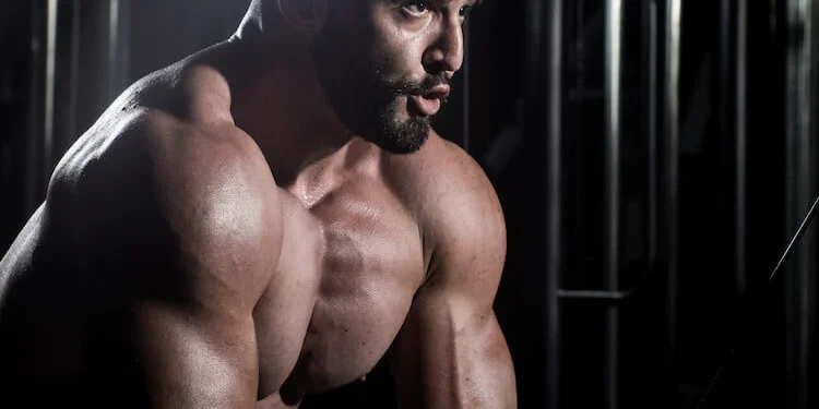 Optimize Gains: Exploring Test Deca Cycle Synergy Effects