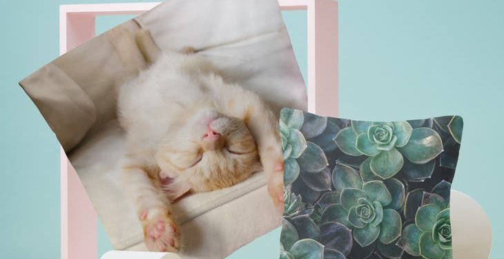 Personalise Your Space with Custom Cushion Covers