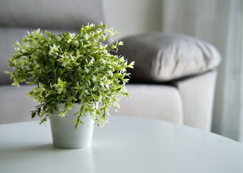 Caring For Your Outdoor Artificial Plants